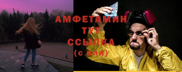 молекула духа Бронницы