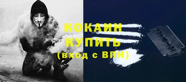 молекула духа Бронницы