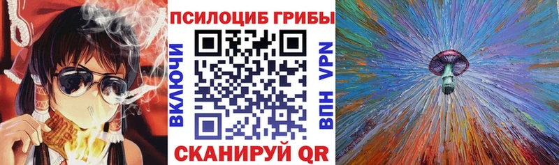 Псилоцибиновые грибы Psilocybine cubensis  ссылка на мегу ССЫЛКА  Каневская 