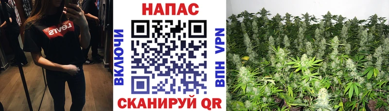 МАРИХУАНА MAZAR  купить наркотик  нарко площадка формула  Каневская 